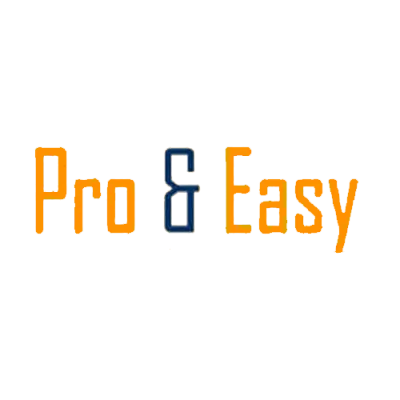 pro-n-easy cheque software
