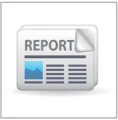 leave summary reports